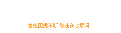 PG国际-创造和传播文娱领域的美好体验游戏平台