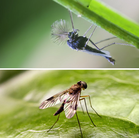 PG国际-创造和传播文娱领域的美好体验游戏平台